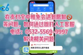 日常支付限制问题，支付宝无法转账等问题直接拨打人工热线电话视频封面