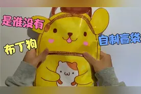 是谁没有布丁狗的自制书包盲袋呢？开拆开拆！视频封面