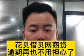 支付宝花呗借呗网商贷申请延期还款的方法，句句干货赶紧收藏起来视频封面