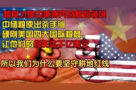 中美博弈争夺最激烈的粮食领域，中储粮以一刚四暴打四大国际粮商视频封面