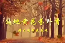 游大同黄花基地视频封面
