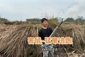 小伙制作“AK47”灭鼠，加上蓝色烟雾弹更猛，下一秒害鼠猛窜出洞视频封面