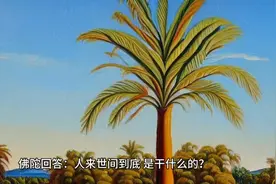 人来世间到底是干什么的？