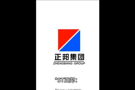 *ST 正邦按每10股转16股资本公积转增,用于引入投资人和清偿债务视频封面