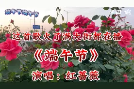 最火的歌《端午节》旋律欢快，歌声悠扬百听不厌，祝大家端午安康