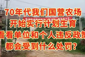 70年代国营农场也实行计划生育，单位和个人违反政策会怎么处罚？视频封面