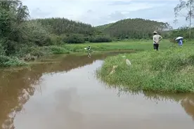 野钓找对位置是关键，找对位置就可以连杆上鱼，想不爆护都难。视频封面