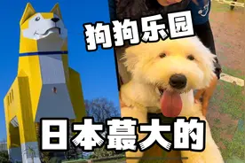打卡日本最大狗狗乐园，不限时撸狗自由视频封面