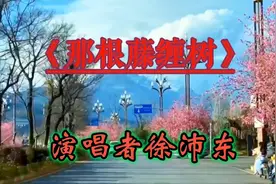 经典就是经典，徐沛东《那根藤缠树》悲凉沧桑的歌声，让人陶醉