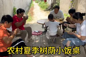 农村夏季小饭桌，树荫下端碗面条，自然风下汗凉爽，这生活很惬意视频封面