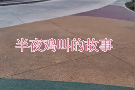 半夜鸡叫说明了什么？视频封面