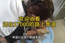 我说话的时候，有点小激动，哈哈，理解一下，我会努力努力的视频封面