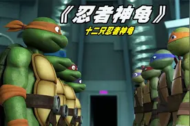 竟出现十二个忍者神龟，在不同的维度来回穿梭，都是为了保护地球视频封面