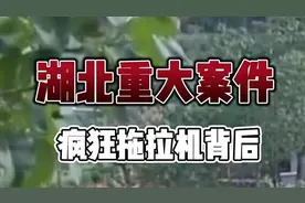 湖北重大案件：疯狂拖拉机背后视频封面