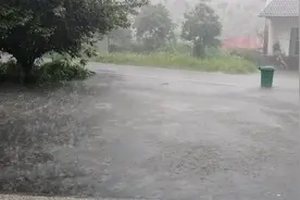 夏日暴雨，在家看暴雨，感觉身心被洗礼