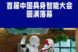 中国具身智能大会：共创未来机器人新篇章视频封面