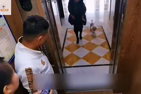 女子的狗狗在电梯里拉臭，却不清理，白衣男子把狗屎扔进女子家里视频封面