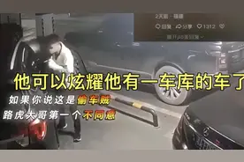 偷车贼？路虎大哥第一个不同意！