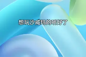 想玩沙威玛的就下载迅雷。视频封面