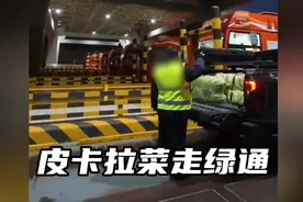 开皮卡拉白菜走绿通，看看工作人员什么反应，会不会免费……视频封面