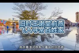 旧时王谢堂前燕，飞入寻常百姓家。视频封面