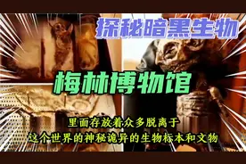 震撼探秘！收藏陈列各种暗黑生物的英国梅林博物馆！视频封面