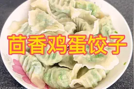 茴香鸡蛋饺子你就像我这样调馅，调料简单，味道鲜美，营养丰富…