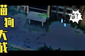 爆发吧我小宇宙以雷霆击碎黑暗