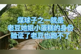 煤球子之一就是老豆她姐，小蛋糕的身份验证老豆也跑不了。视频封面