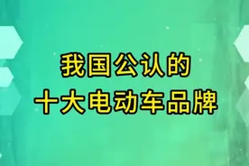 我国公认的十大电动车品牌视频封面