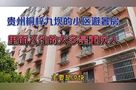 是什么原因让重庆人来到桐梓九坝买避暑房？这个视频告诉大家！