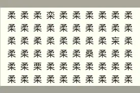 考眼力解压力，6个不同,我不信你能全找到！师友请🌹🌹🌹视频封面