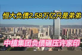 恒大负债2.6万亿只是弟弟，中植集团勇夺负债榜第一！视频封面