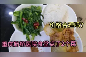 小伙在重庆新桥医院食堂点了2个菜，这价格如何？视频封面