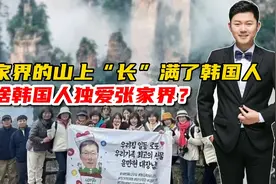 张家界的山上长满了韩国人！为啥韩国人独爱张家界？视频封面