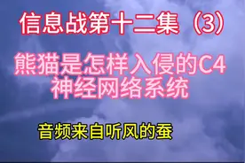熊猫是怎么入侵大漂亮C4神经系统的视频封面