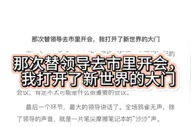 那次替领导去市里开会，我打开了新世界的大门#体制内 #职场干货视频封面