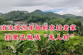 逃离大城市回到农村！老家变成了“无人村”视频封面