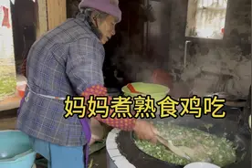 小伙深山养鸡，老妈妈为省钱每天坚持煮些熟食喂养视频封面