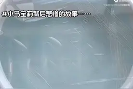 小马宝莉背后的故事
