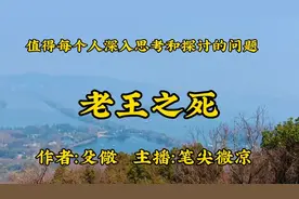 老王之死，作者：殳儆，这是一个值得每个人深入思考和探讨的问题