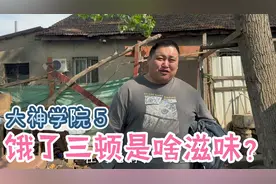 一天饿三顿，网吧大神二胖找涛老板借钱吃饭，为啥他越饿越胖？视频封面