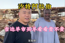 大千世界无奇不有啊！确实沙特的羊样子挺怪的，我是第一次见😂视频封面