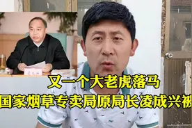 靠烟吃烟，卸任五年后被查，国家烟草专卖局原局长凌成兴被逮捕视频封面