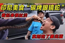 印尼美食“碳烤眼镜蛇”看起来扯淡，实则吃了要完蛋！一定要请你视频封面