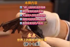劲爆！飞机上拍到的龙！｜墨西哥发现的卢兹克！@奇闻异世界R
