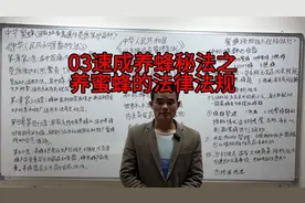 03速成养蜂秘法之养蜜蜂的法律法规视频封面