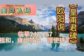 欧阳询《皇甫君碑》临摹248-257祖和，雍州赞治，赠使持节视频封面