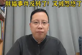 胖猫事件的通报来了。事情反转了！胖猫姐姐违法行为或被处理！视频封面