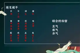 一分钟学会地支藏干，简易记忆法则揭秘！视频封面